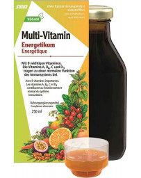 SALUS Multi-Vitamines énergétique fl 250 ml