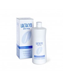 LACTACYD Derma Emulsion nettoyante douce 1000 ml